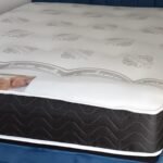 Small Double, Memory Ortho, Medium Firm, Mattress Only, 4'